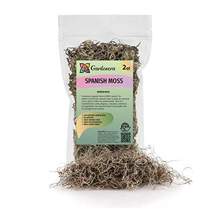 Premium Natural Spanish Moss | Natural Preserved - Great Ground Cover - Filler for Potted Plants - 2 Quart Bag (GRD-SPANISH-MOSS-2QT) - color: SPANISH MOSS, size: 2 Quart