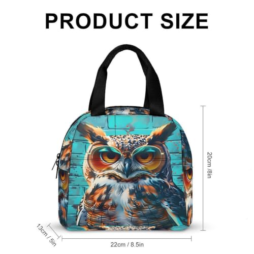 Funny Owl with Sunglasses Lunch Bag for Women Men | Insulated Lunch Box Leakproof Food Meal Containers Reusable Foldable 6L Capacity Lunch Tote Bags for Work Picnic Travel - color: Style 6