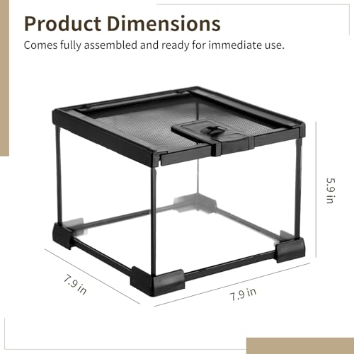 Mini Reptile Glass Terrarium 7.9 x 7.9 x 5.7, Full View Rainforest Vivarium Tank, Stackable Amphibian Enclosure Cage for Turtles, Geckos, Frogs, Hermit Crabs, No Installation Needed - size: 7.9"L x 7.9"W x 5.7"H