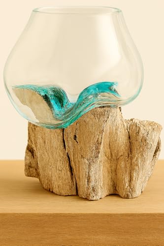 OMA Molten Glass on Driftwood – Hand-Blown Melted Glass Vase, Terrarium, or Planter for Coastal & Boho Home Décor (6"–7" High) - size: 6" High