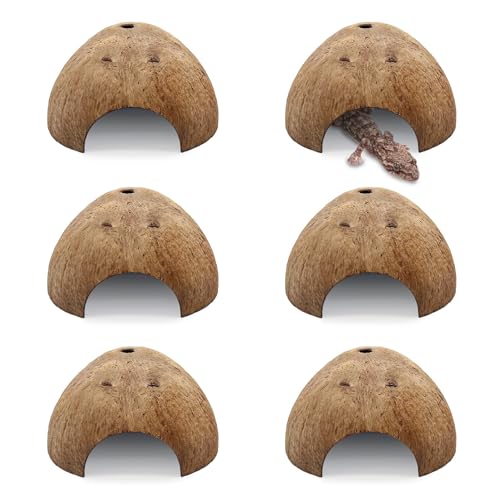 PINVNBY 6 PCS Natural Coconut Reptile Hideouts Lizard Coco Hut Hermit Crab Hut Aquarium Fish Hide Cave Spider Snail Climber Toys - size: 6 PCS Smooth Surface