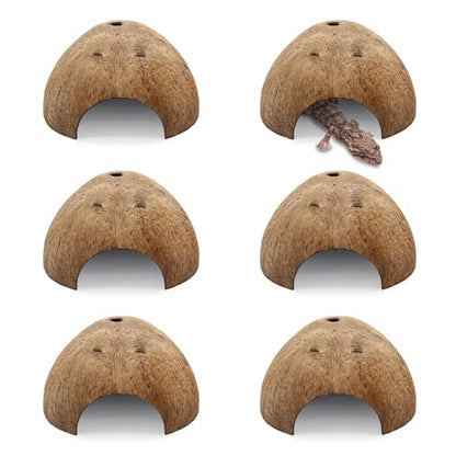 PINVNBY 6 PCS Natural Coconut Reptile Hideouts Lizard Coco Hut Hermit Crab Hut Aquarium Fish Hide Cave Spider Snail Climber Toys - size: 6 PCS Smooth Surface