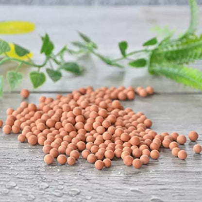 2.0 LB Clay Pebbles, 1/8'' Gardening Ceramsites Growing Media for Succulents Orchids, Aquaponics, Aquaculture Hydroponics. Ceramsite Clay Rocks Decor Cultivation, Leca for Plants - size: 2.0 LB