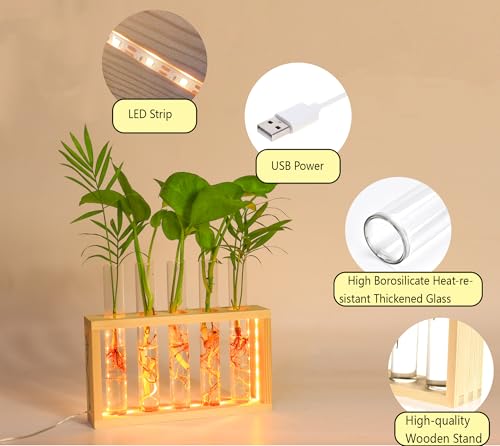 Plant Propagation Station with LED Lights, Plants Terrarium with Wooden Stand, 5 Glass Test Tube Vases for Propagating Hydroponic Plants Cutting Office Home Desk and Garden Decor Gift for Plant Lovers