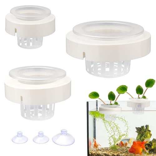 Plus tard 3 Set Floating Aquarium Plant Holders with Suction Cups, Fish Tank Plant Holders, Translucent Baskets for Hydroponic Plant Cultivation and Aquascape Decoration