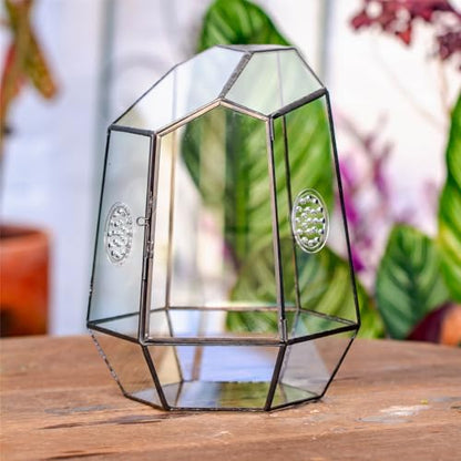 NCYP Closed Geometric Glass Enclosure with Front Opening Door & 2 Vent Holes for Insects, Snail, Moss, Fern - 7.9"x6.9"x9.8" Black Irregular Terrarium - Home Garden Tabletop Decor (No Plants)
