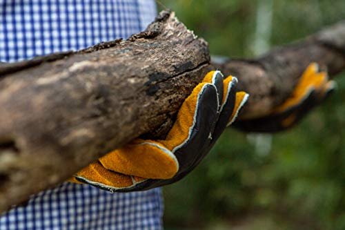 G & F Products Leather Heat-Resistant BBQ Gloves, Kevlar Stitch, 1 Size - style: Grain Finish Back/Suede Finish Palm.