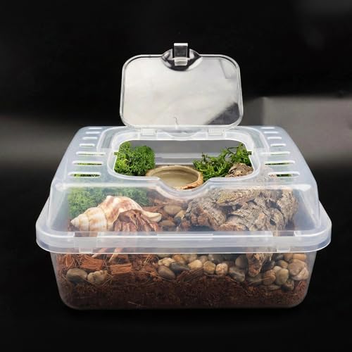 2 Pack Clear Portable Insect Reptile Terrarium Box with Handle Transparent Travel Case for Spider Snail Turtle Hermit Crab Gecko Insects Small Reptiles Amphibians