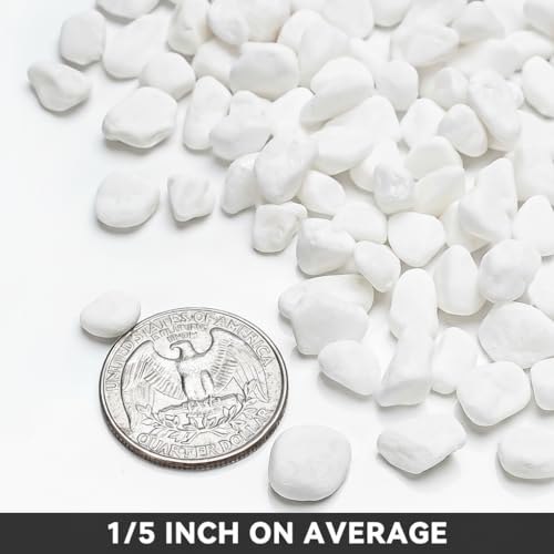 onlyfire 5 lbs White Gravel Pebbles, 1/5" Natural Decorative River Rocks | Aquarium Gravel, Crushed Gravel Stone, For Indoor Plants, Vases, Succulents, Outdoor Garden Landscaping and Home Decor - color: White, size: 5 Pounds