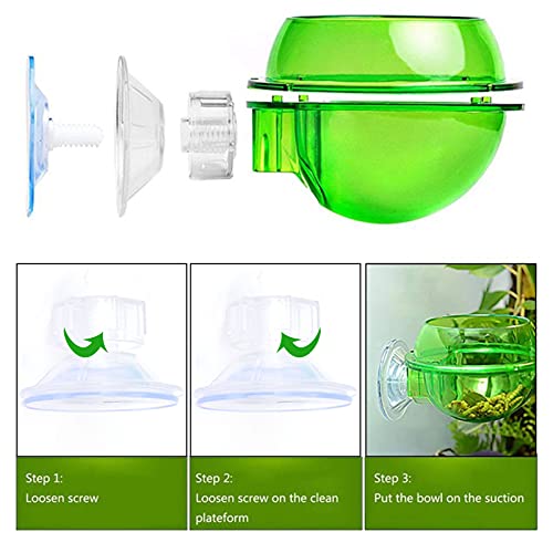 Suction Cup Reptile Feeder | Food - Grade Plastic Bowl for Gecko/Snake/Lizard | Translucent Water Nursery Basin with Secure Suction | Easy to Install & Move