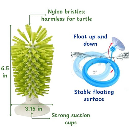 Turtle Brush with Suction Cup & Feeding Ring, 2-Piece Cleaning & Feeding Set (Green) - color: Green