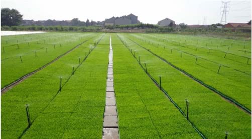 9 Sets 360° Micro Spray Sprinkler Stake Assembly with 1/4" Tubing | Full Circle 360 Degree Watering Nozzles, Emitters with Spike, 1/4 inch Tubing, For Greenhouse Nursery Garden Drip Irrigation - size: 9 Sets 360° Micro Spray Emitters