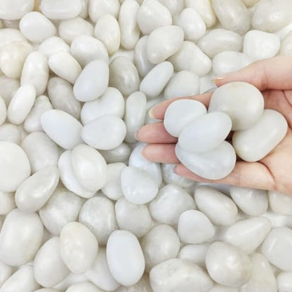 FANTIAN 10 lbs White Pebbles for Indoor Plants, 0.8-1.2 Inch Small White River Rocks Stones for Planters, Vases, Fish Tank, Garden, Landscaping, Top Dressing and Bottem Drainage - size: 0.8-1.2 Inch, style: 10 Pounds