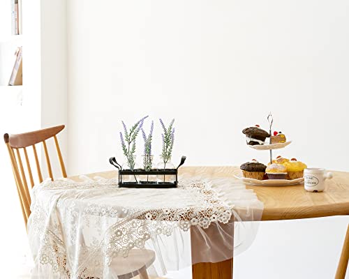 Mkono Propagation Stations, 3 Jars Desktop Glass Plant Terrarium with Stand | Flower Vase, Hydroponic Cuttings, Easy Water Refill,Clear Root View Planter,Farmhouse Home Office Decor, Gardening Lover Gift - size: Medium