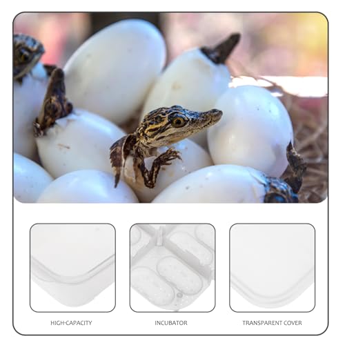 Compartment Reptile Hatchery Egg Incubation Box Heat Lamp for Enclosures