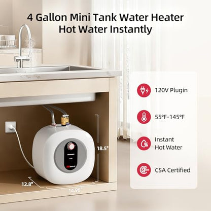 Electric Mini Tank Water Heater - 4.0 Gallon Point of Use Instant Hot Water Heater for RV, Camper, Kitchen, Food Truck, 120V 1440W, Under Sink, Wall or Floor Mounted, Easy to Install - color: 4 Gal