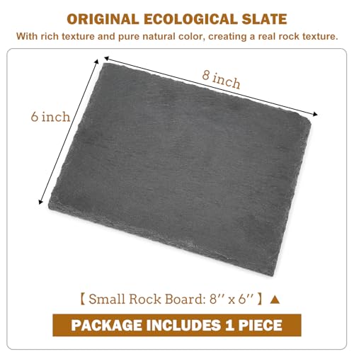 Rock Basking Platform with Bowl & Mat for Reptiles Small | Non-slip base; rough top for claw grinding. Has food bowl & porous surface holds moisture. Fits tortoises, dragons & lizards - size: Small