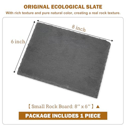 Rock Basking Platform with Bowl & Mat for Reptiles Small | Non-slip base; rough top for claw grinding. Has food bowl & porous surface holds moisture. Fits tortoises, dragons & lizards - size: Small