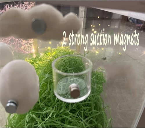 Tall Jumping Spider Feeding Dish, Magnetic Tiny Food Dishes Water Dish for Jumping Spider, Tarantula and Other Small Pets,(1.2in Tall) - size: Single