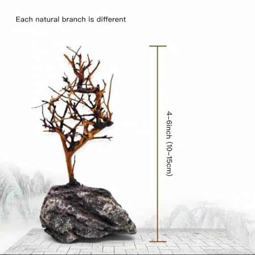 YZHZOM 2pcs Small Bonsai Aquarium Tree,4-6inch,Handmade Aquarium Bonsai Tree Aquarium Decor Tree