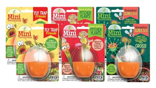 Toys By Nature Mini Terrarium Carnivorous Plant Bundle, 100% USA Made Complete Starter Kit Includes 2 Each of Flytraps, Pitcher Plants, Sundews, Easy to Grow Planting Seeds Just Add Water - color: Meat-Eating Bundle