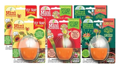 Toys By Nature Mini Terrarium Carnivorous Plant Bundle, 100% USA Made Complete Starter Kit Includes 2 Each of Flytraps, Pitcher Plants, Sundews, Easy to Grow Planting Seeds Just Add Water - color: Meat-Eating Bundle