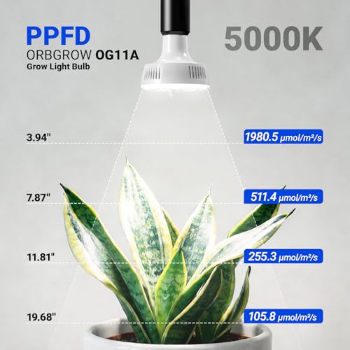 Barrina OG11A Grow Light Bulbs for Indoor Plant, 5000K 11W, 4 Packs, White | Integrated Dimming & Timing, E26 Plant Light Bulb, Full Spectrum, High PPFD for Seeds and Greens - color: 5000K-White Cover, size: 11W-4 Packs