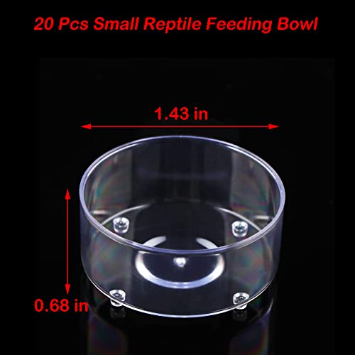 20 Pcs Small Reptile Feeding Bowl Plastic Water Bowl Food Dish for Spider Tarantula Small Reptile Lizard Gecko (Small: 1.43" D, 0.68" H)