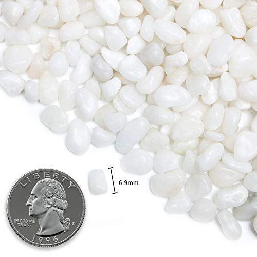 Natural Polished Decorative White Pebbles - Small Stones 3/8" Gravel Size,River Rocks Pebbles for Plants, Home DIY Decor,Aquarium Gravel,Vase Fillers,Fairy Garden,Landscaping Outdoor Stones. - color: White, size: 5 LB
