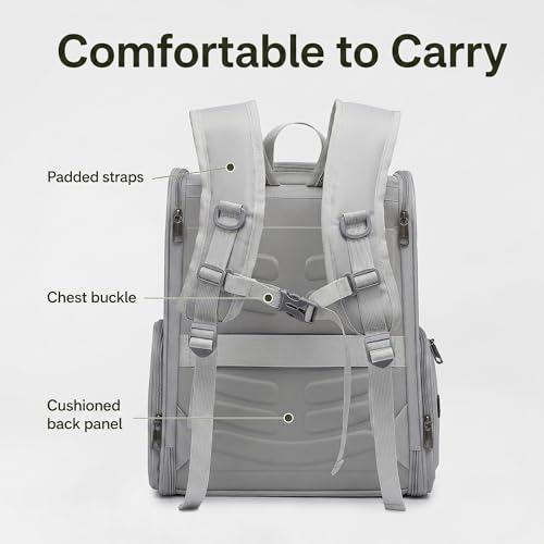 Cat Backpack Carrier for Small Dogs and Medium cat Puppy Kitten Bunny Pet Carrier Backpack Collapsible with Fully Ventilated Mesh with Safety Leash (Gray, 12.9" L x 10.62" W x 15.5" H - M) - color: Gray, size: Medium