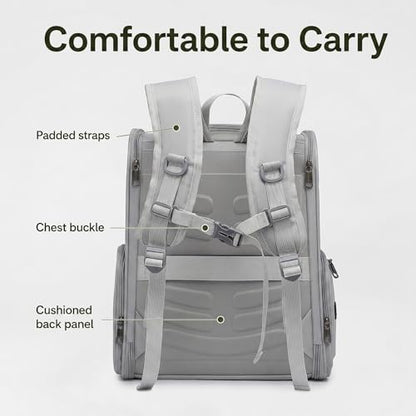 Cat Backpack Carrier for Small Dogs and Medium cat Puppy Kitten Bunny Pet Carrier Backpack Collapsible with Fully Ventilated Mesh with Safety Leash (Gray, 12.9" L x 10.62" W x 15.5" H - M) - color: Gray, size: Medium