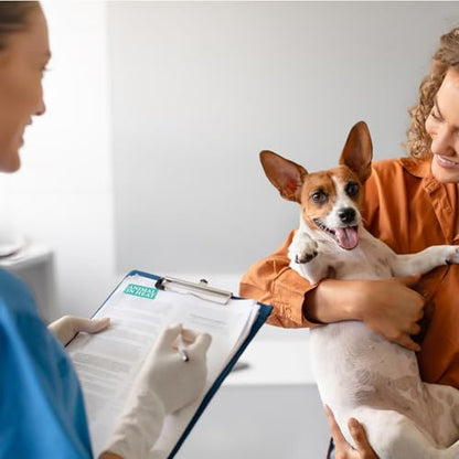 1000pcs Animal in Heat Stickers Medication Instruction Labels | Veterinary File Folder Reminder Sticker for Veterinary Clinic Animal Hospital Pharmacies Shelter Breeders Pet Care