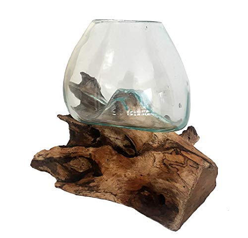 OMA Molten Glass on Driftwood – Hand Blown Vase, Terrarium, or Planter Centerpiece for Coastal & Boho Home Décor (7" – 9" High) - size: 7" - 9" High
