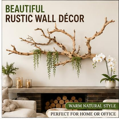 Koyal Wholesale California Driftwood with Natural Brown Branches, 36-Inch Large Driftwood Decor - size: 36 Inches