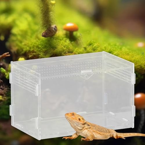 Reptile Breeding Box Acrylic Terrarium Container with Ventilation Holes for Snakes Turtles Chameleons Frogs Geckos Small Animal Habitat- 20x12x12cm