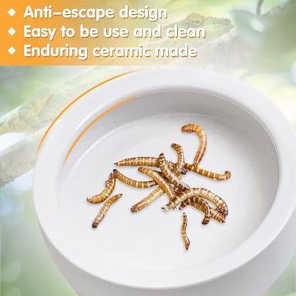 Tfwadmx 2 Pack Reptile Food Bowl, Ceramic Water Feeder Bowl, Reptile Worm Feeding Dish for Lizard Turtle Bearded Dragon Anoles Crested Gecko Hermit Crab Leopard Gecko Chameleon Corn Snake - size: 2 Pcs 3.9 '' x 1.1 ''