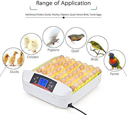 55 Egg Incubator with Auto Turner & Humidity Control 360° View | High Hatch Rate Poultry Hatcher for Chicken Duck Quail, Ideal for Farm & Home Breeding - size: 55 Egg