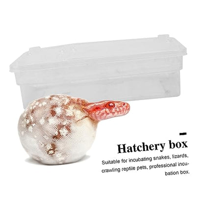 Plastic Reptile Incubation Box Cell Hatching Container for Lizard Eggs Durable Two Design Lightweight Compact for Easy Reptile Breeding Experience