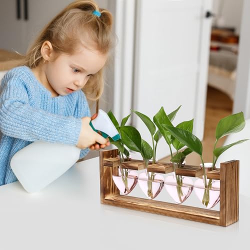 Plant Propagation Stations Heart Plant Terrarium Kit | Gift for Women Plant Lover Glass Vases - color: Pink