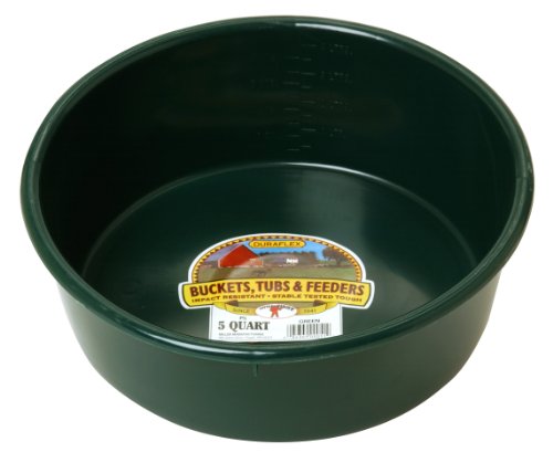 Little Giant® Plastic Utility Pan | Feed Pan | Durable & Versatile Livestock Feeding Bucket | Made in USA | 5 Quart | Green - color: Green, size: 5 Quarts