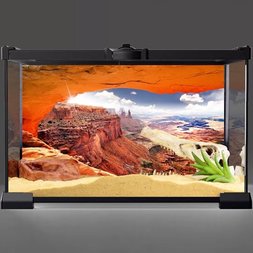 AWERT Stone Reptile Habitat Background Sky Oasis Mountain Cactus Sun and Desert Terrarium Background 36x18 inches Polyester Background | AWERT Sky Sun Mountain Canyon View Polyester Terrarium Background - size: 36x18in/90x45cm