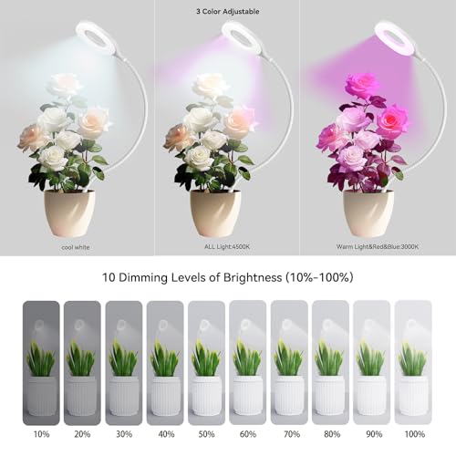 2 Packs Plant Growing Lamp, LED Pot Clip-on Plant Light for Growing | Full Spectrum Plant Light with Remote, 4/8/12H Timer, 10 Level Dimmable for Small Plants Succulents Seedlings - size: 2 Pack