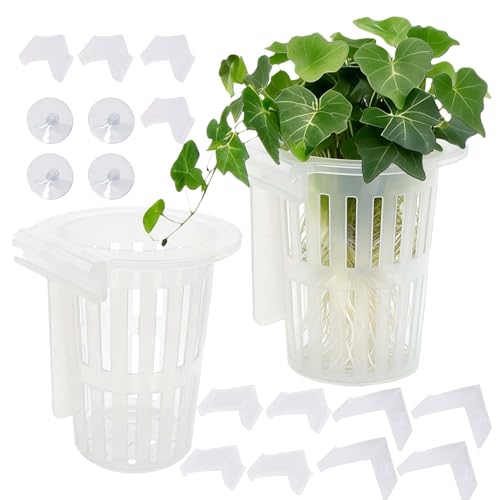 2 Pack Aquarium Plant Holder for Fish Tank with Suction Cup & Ext Hook | Upgraded Large Fish Tank Plant Holder, 0.4"-1.57" Extension Hooks Fit Rimless & Rimmed Tanks, for Aquaponic & Aquascape Decor