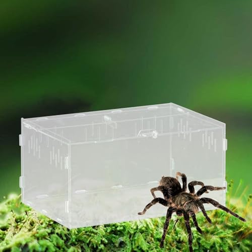 Reptile Breeding Box Terrarium Professional Clear Animal Habitat Cage with Ventilation Holes for Geckos Frogs Hermit Crabs- 30x20x15cm