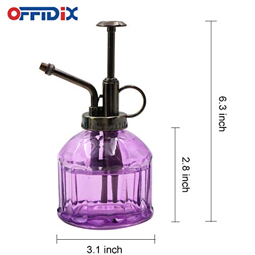 Glass Plant Mister Spray Bottle, Purple Small Watering Can 6.7 oz | Plant Spritzer Mister with Bronze Plastic Top Pump, Vintage Mister Indoor Outdoor, Fine Mist, for Garden, Plants, Cleaning - color: G-Purple