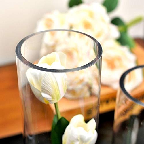 WGVI Quality Thick Weighted Clear Cylinder Glass Vases, 3" W x 12" H, Skinny Bud Vase Narrow Floral Bouquet Flower Arrangements Storage Container Candle Holders Decorative Accents, 1 Piece - size: 3"x12"H