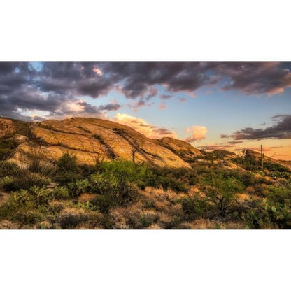Reptile Terrarium Background Sunset Over Rocks Terrarium Background Reptile Tank Background Desert Thorns Rocky Bush Reptile Habitat Background Bearded Dragon Fish Tank Aquarium Background 24x12in - color: Gobi Grey, size: 24(W)x12(H)inches/ 60(W)*30cm(H)