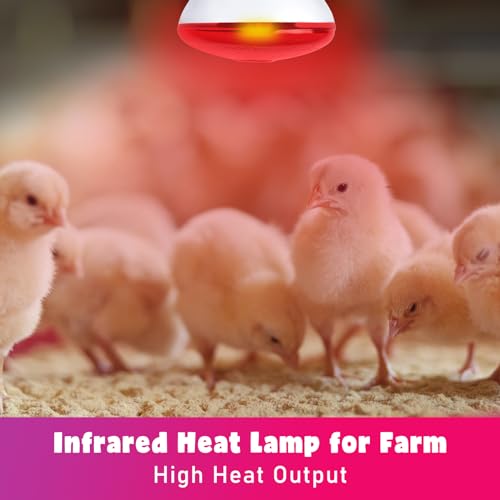 LUCKY HERP Infrared Heat Lamp for Chickens, 250 Watt Red Heat Lamp Bulb, 2 Pack Heat Light Bulb, Brooder Heat Lamp for Chicks Coop, Reptiles, Amphibian, Pet, Food Service