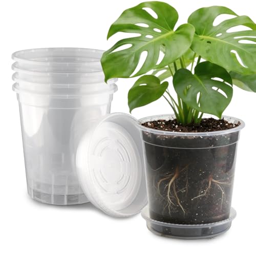 BTPLASTIK 3 Gallon Clear Nursery Pots with Saucers 5P, 10 Inch Round Plastic Plant Pots with Drainage Holes - size: 3 Gallon + Saucers 5P