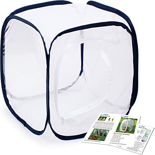 Insect and Butterfly Habitat Cage Terrarium Pop-up 12 X 12 X 12 Inches - color: White With Black, size: 12 x 12 x 12 inches